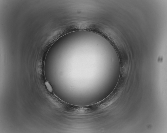 X0000097800497200803141057