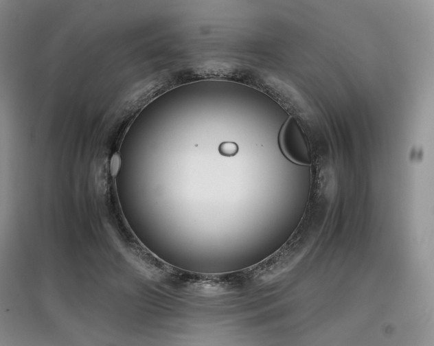 X0000097800498200803141057