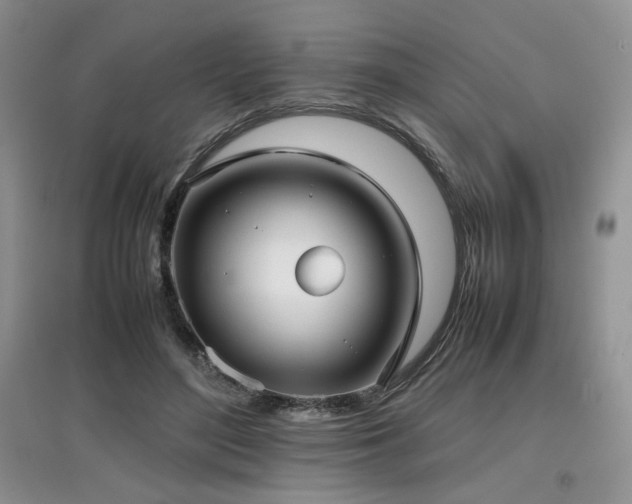 X0000097800500200803141057