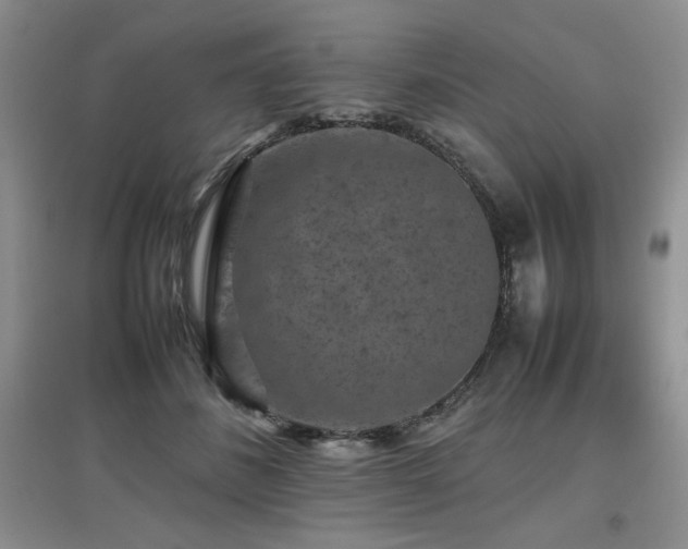 X0000097800508200803141057