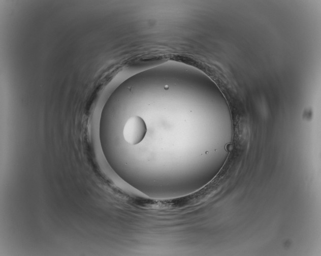 X0000097800511200803141057