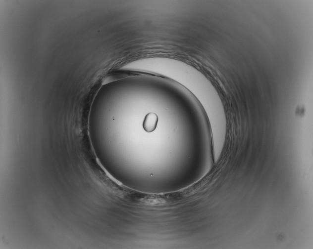 X0000097800512200803141057