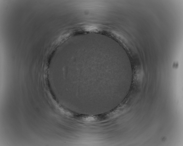 X0000097800513200803141057