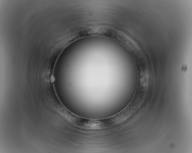 X0000097800514200803141057