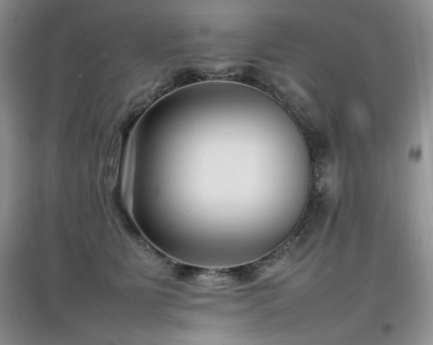 X0000097800515200803141057