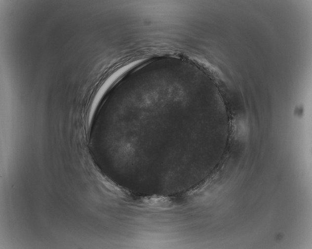 X0000097800517200803141057