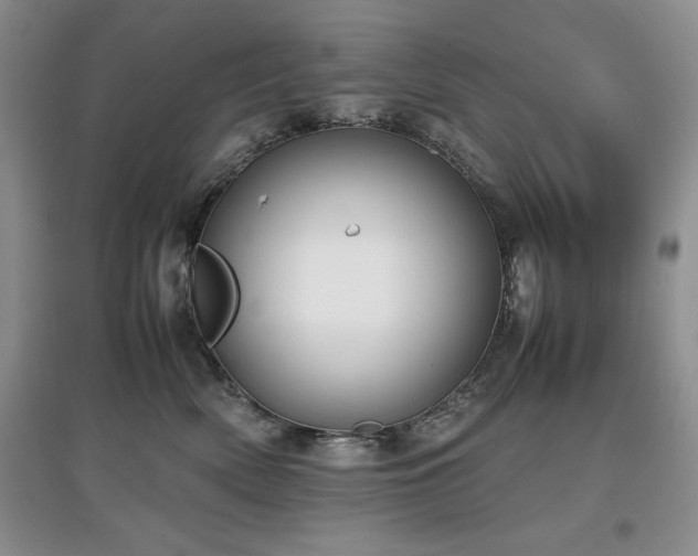 X0000097800522200803141057