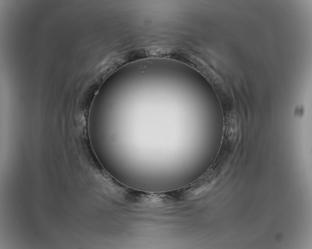 X0000097800523200803141056