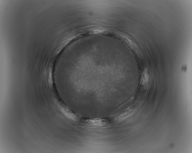 X0000097800524200803141056