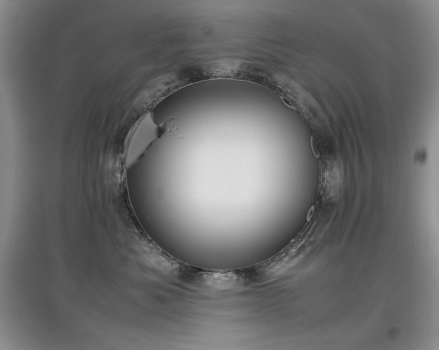 X0000097800525200803141056