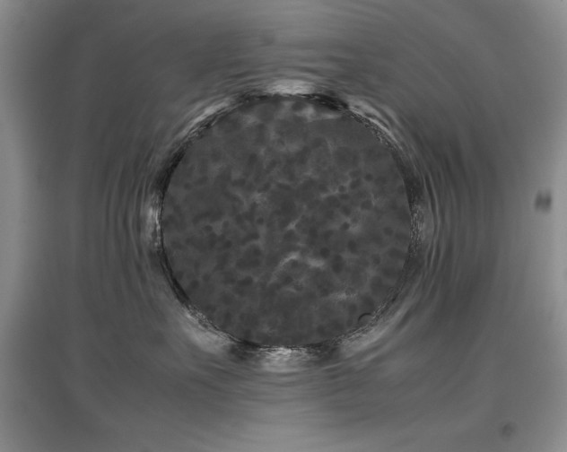 X0000097800527200803141056