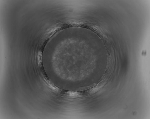 X0000097800528200803141056