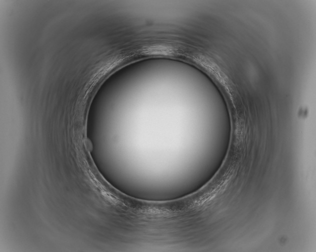 X0000097800529200803141056