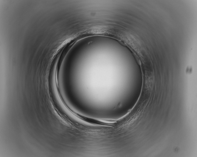 X0000097800530200803141056