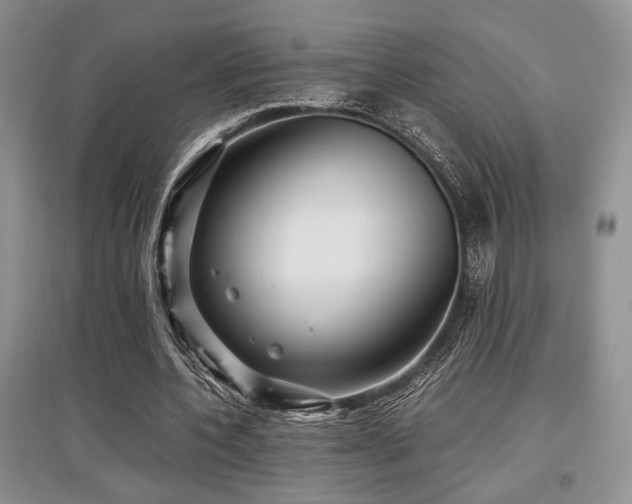 X0000097800532200803141056