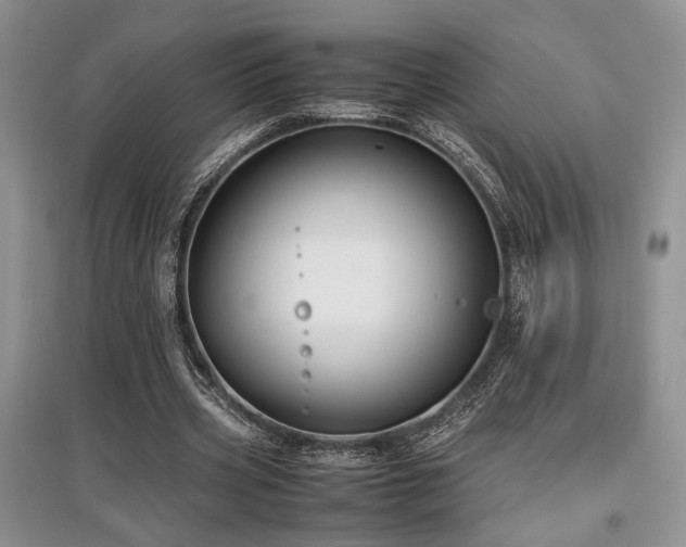 X0000097800533200803141056