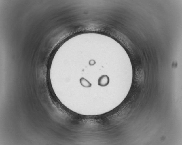 X0000097800534200803141056