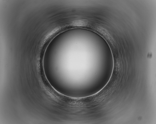 X0000097800535200803141056