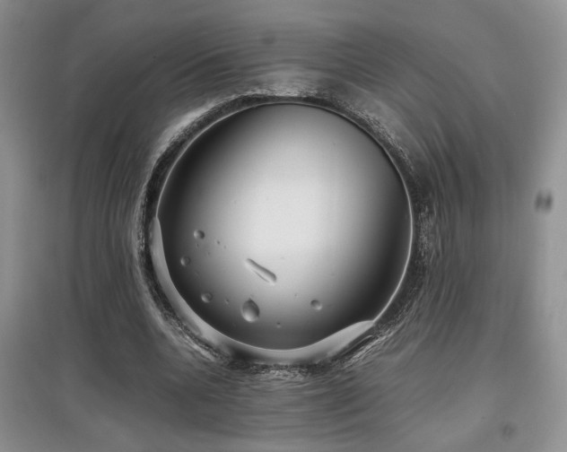 X0000097800536200803141056