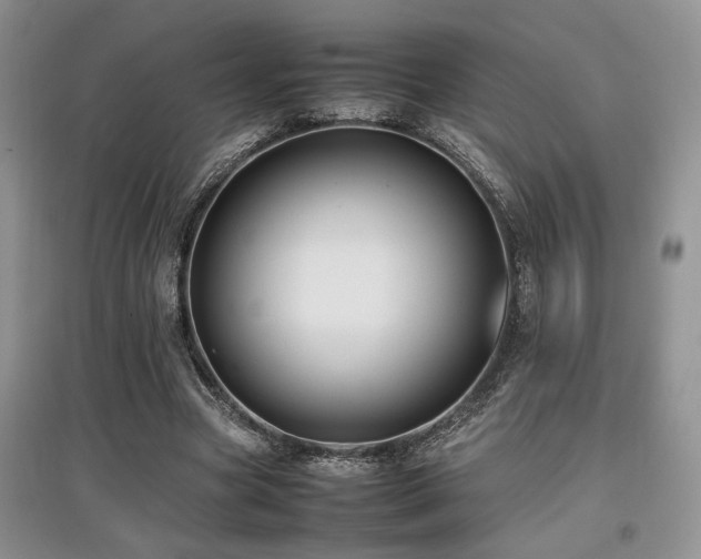 X0000097800537200803141056