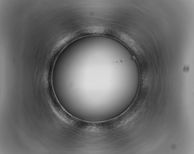 X0000097800538200803141056