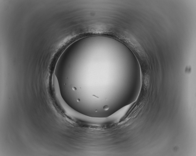 X0000097800540200803141056