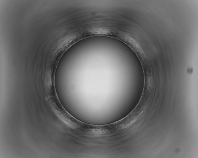 X0000097800541200803141056