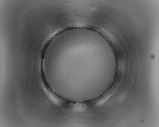 X0000097800542200803141056