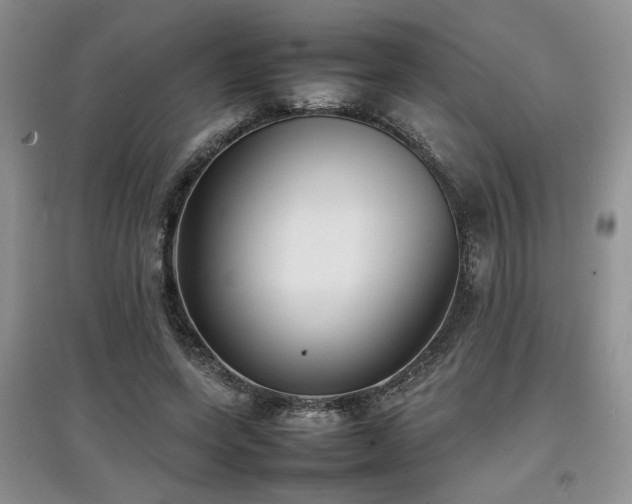 X0000097800543200803141056