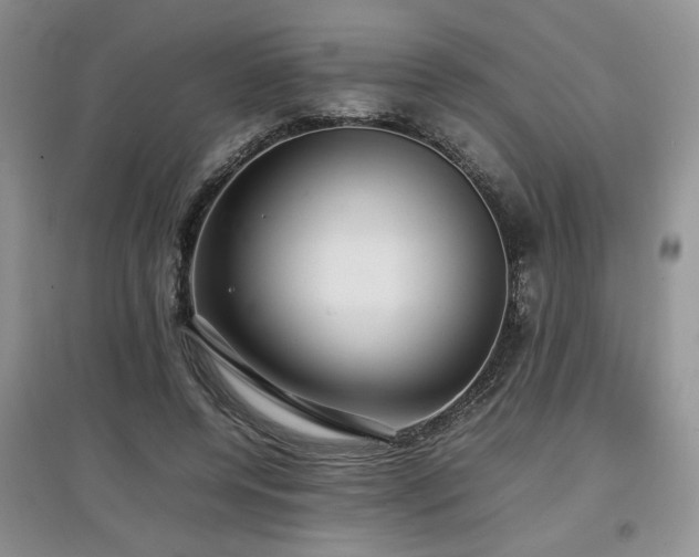 X0000097800544200803141056