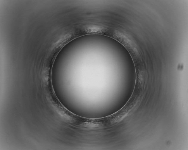 X0000097800545200803141056