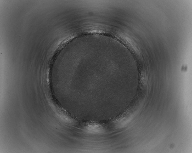 X0000097800547200803141056