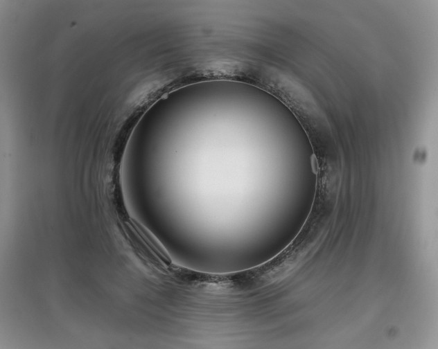 X0000097800548200803141056