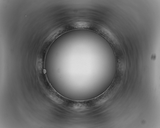 X0000097800549200803141056