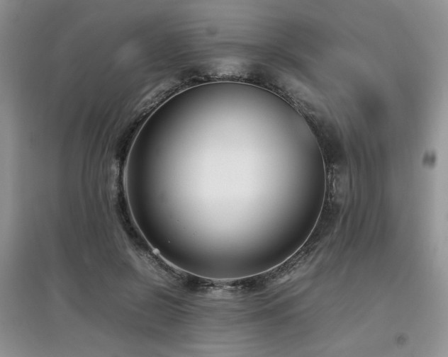 X0000097800550200803141056