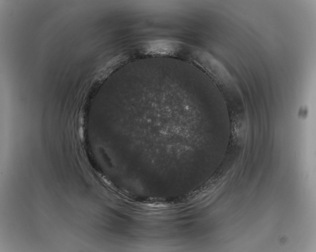 X0000097800551200803141056