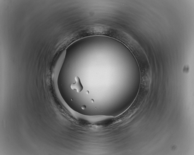 X0000097800552200803141056