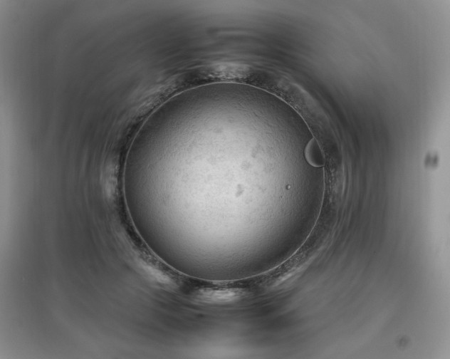 X0000097800553200803141056