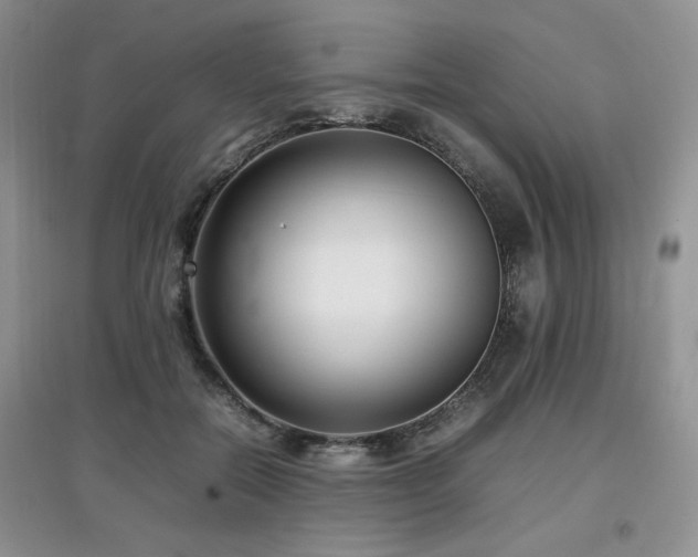 X0000097800554200803141056