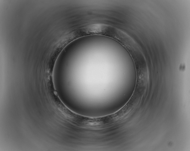 X0000097800555200803141056