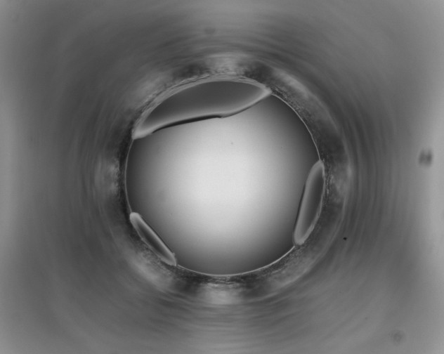 X0000097800556200803141056