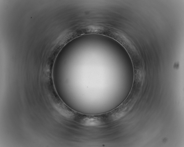 X0000097800557200803141056