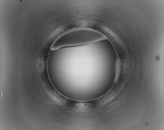 X0000097800558200803141056