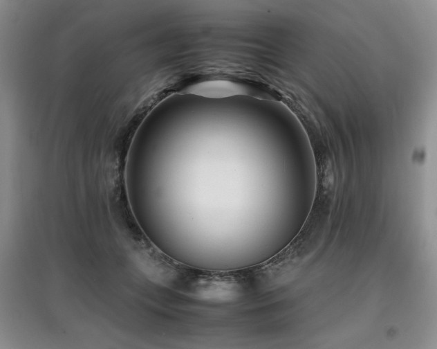 X0000097800559200803141056