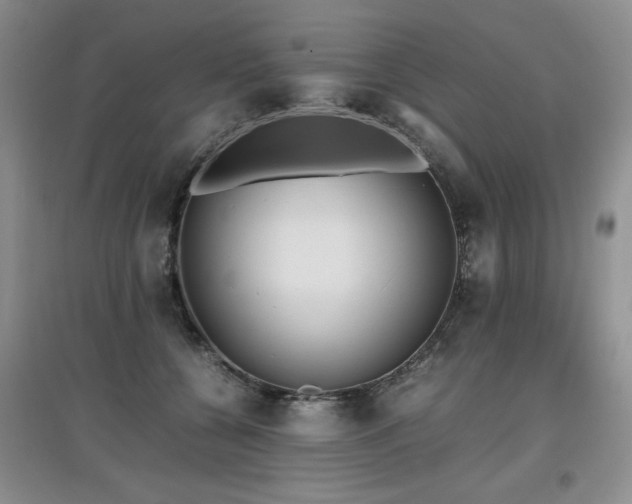 X0000097800560200803141056