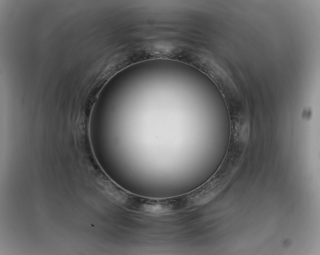 X0000097800561200803141056