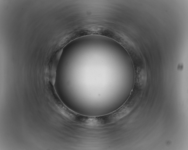 X0000097800562200803141056