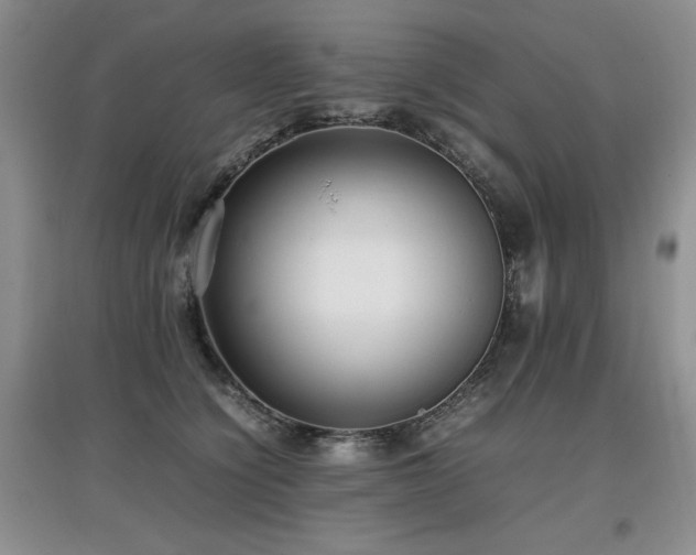 X0000097800564200803141056