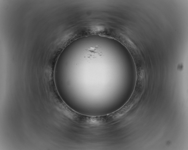 X0000097800565200803141056