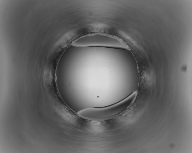 X0000097800566200803141056